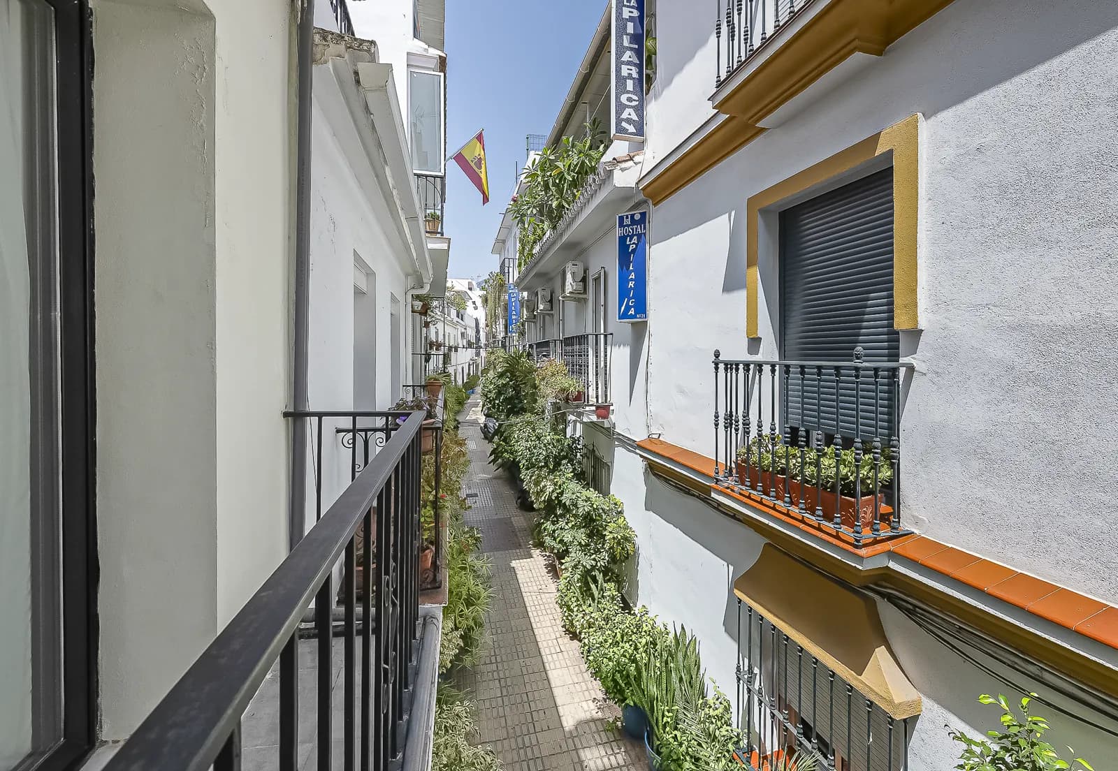 The lane below Room 1, planted along both sides and running towards the street